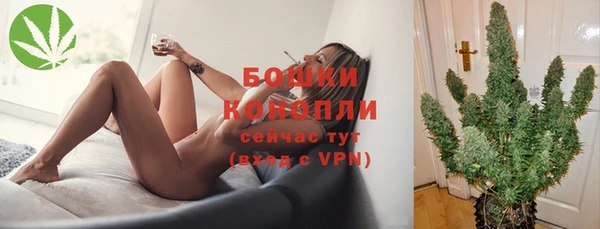 мяу мяу мука Белокуриха