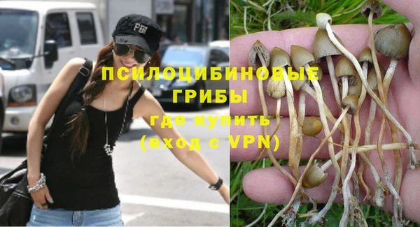 мяу мяу мука Белокуриха